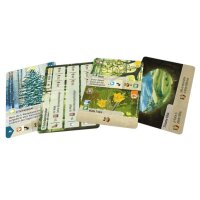 Mischwald – Entdeckungen
